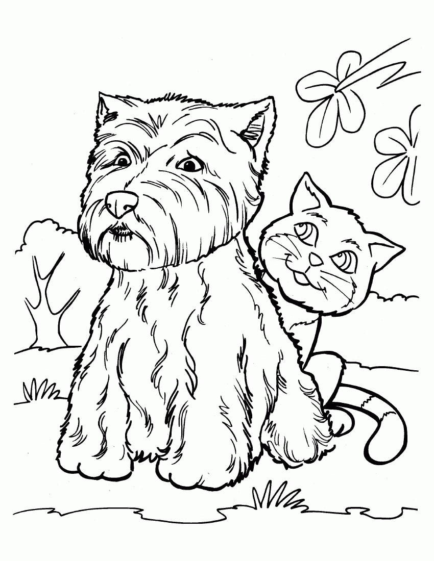 Przyjaciele na łonie natury - Kolorowanka do druku z psem i kotem kolorowanka do druku